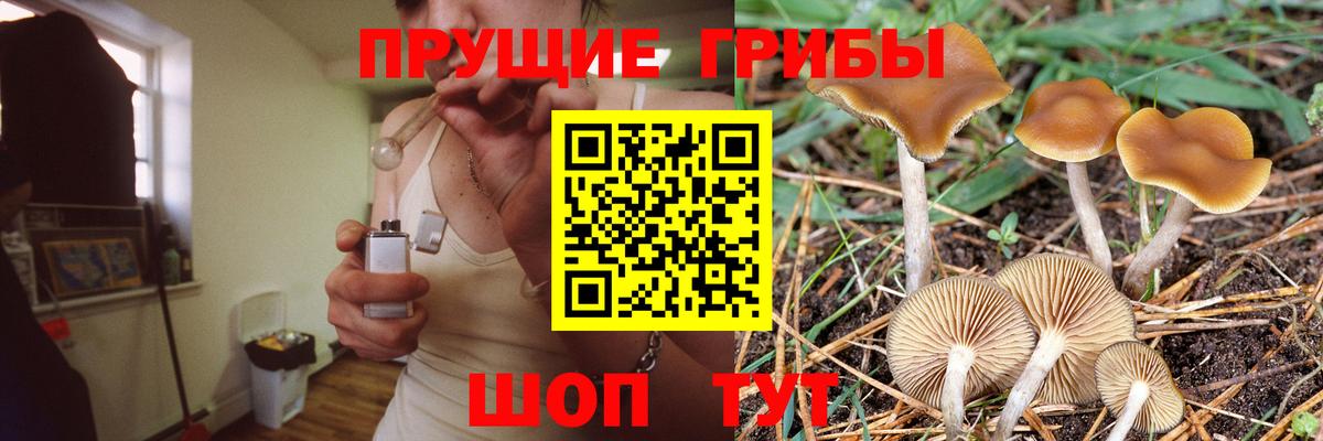 Псилоцибиновые грибы прущие грибы Хасавюрт