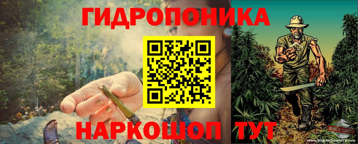 Шишки марихуана планчик Хасавюрт
